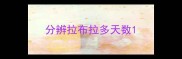 分辨拉布拉多天数