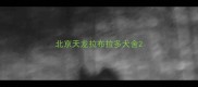 北京天龙拉布拉多犬舍