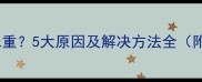 拉布拉多便便异味重5大原因及解决方法全附专业护理指南