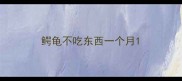 鳄龟不吃东西一个月