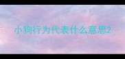 小狗行为代表什么意思