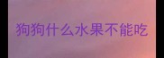 狗狗什么水果不能吃