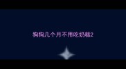狗狗几个月不用吃奶糕