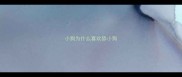 小狗为什么喜欢舔小狗