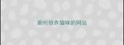 潮州领养猫咪的网站