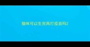 猫咪可以生完再打疫苗吗
