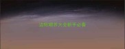 边牧喂养大全新手必看