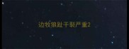 边牧狼趾干裂严重