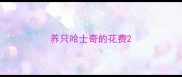 养只哈士奇的花费