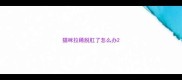 猫咪拉稀脱肛了怎么办