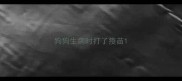 狗狗生病时打了疫苗