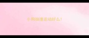 小狗抽搐运动好么