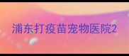 浦东打疫苗宠物医院