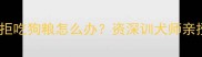 哈士奇5个月拒吃狗粮怎么办资深训犬师亲授3招解决法