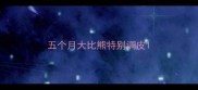 五个月大比熊特别调皮