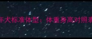 拉布拉多成年犬标准体型体重身高对照表及养护指南