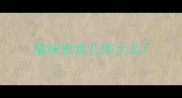 猫咪患病几率大么