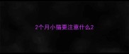 2个月小猫要注意什么