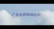 广东名将狗场边牧