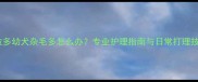 拉布拉多幼犬杂毛多怎么办专业护理指南与日常打理技巧全