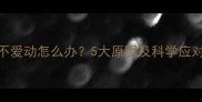 猫咪不爱动怎么办5大原因及科学应对指南