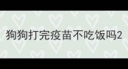 狗狗打完疫苗不吃饭吗