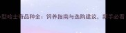 小型哈士奇品种全饲养指南与选购建议新手必看