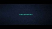 美版金毛跟英版金毛