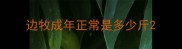 边牧成年正常是多少斤