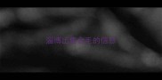 淄博出售金毛的信息