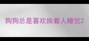 狗狗总是喜欢挨着人睡觉