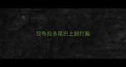 拉布拉多尾巴上翘打圈