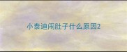小泰迪闹肚子什么原因