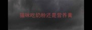 猫咪吃奶粉还是营养膏