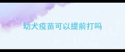 幼犬疫苗可以提前打吗