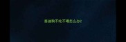 泰迪狗不吃不喝怎么办