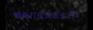獭兔打疫苗怎么打