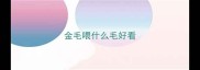 金毛喂什么毛好看