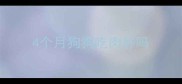 4个月狗狗吃肉好吗