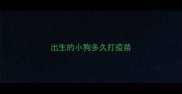 出生的小狗多久打疫苗