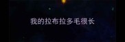 我的拉布拉多毛很长