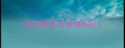 绵阳哪里买宠物狗好