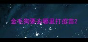 金毛狗要去哪里打疫苗