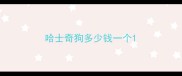 哈士奇狗多少钱一个