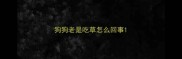 狗狗老是吃草怎么回事