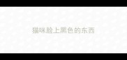 猫咪脸上黑色的东西