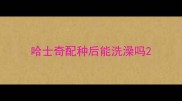 哈士奇配种后能洗澡吗