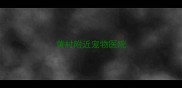 黄村附近宠物医院