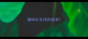 猫咪吐毛球的频率