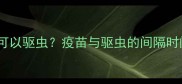 打完疫苗后多久可以驱虫疫苗与驱虫的间隔时间表及注意事项